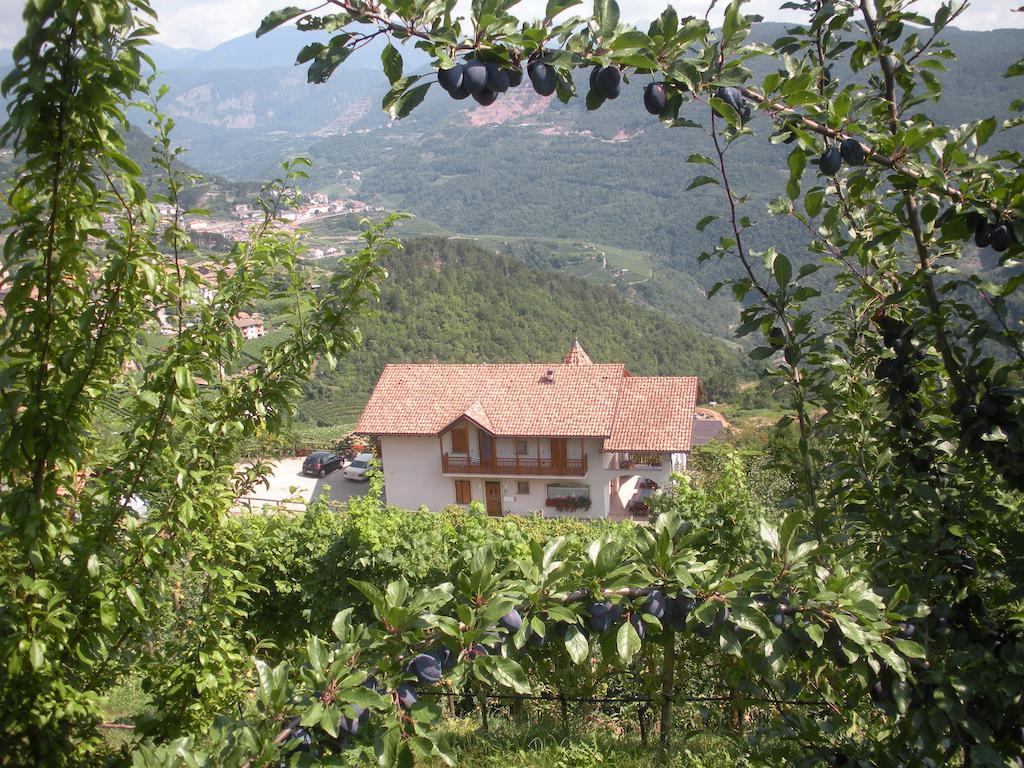 Agritur Maso Pomarolli Villa Giovo ภายนอก รูปภาพ